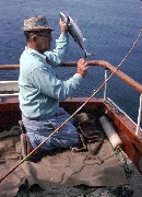 S1115 man with fish